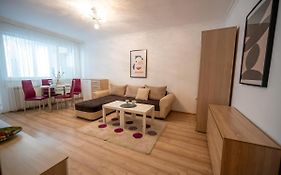 Spacious 1Bdr In The Center With Free Parking